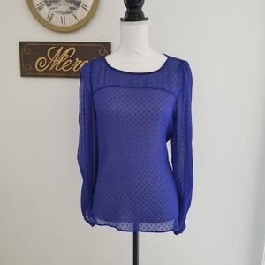 Long sleeve sheer blouse